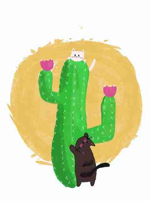 多维扫描 — 黑料网、黑料不打烊 - 多维数据洞察报告