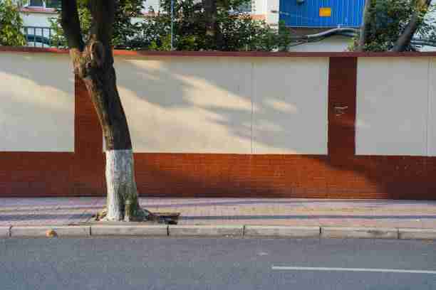 选手爆料：每日大赛台前幕后惊人真相