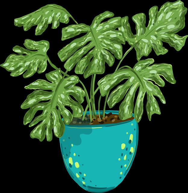 【全攻略】每日大赛官网权威专家点评合集