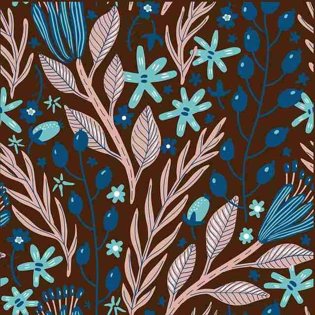 加长解析 — 黑料每日、黑料社app下载官网 ｜ 终极安利指南